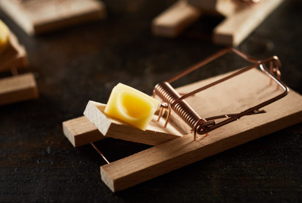 wooden mousetrap with cheese